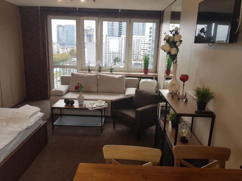 Bed, TV and multimedia, Living room, Food and drinks, Photo of the whole room, Seating area, Dining area, Bedroom, air conditioner, air conditioner