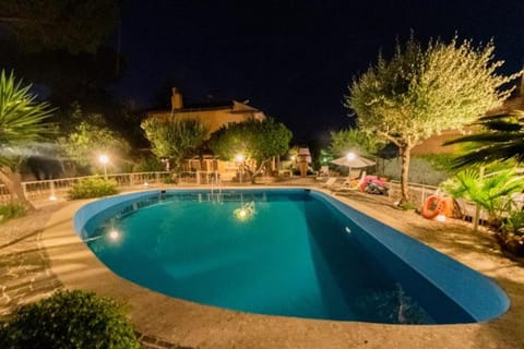 Summer, Garden, Garden, Garden view, Swimming pool, Inner courtyard view