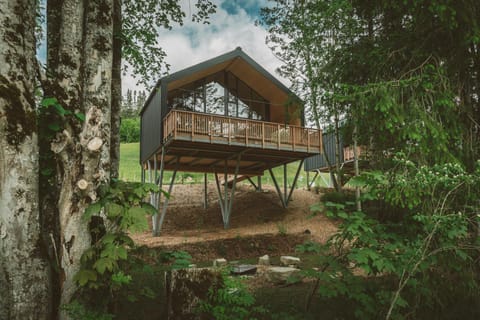 Property building, Day, Garden