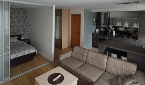 Nikoletos apartamentai Apartment in Lithuania