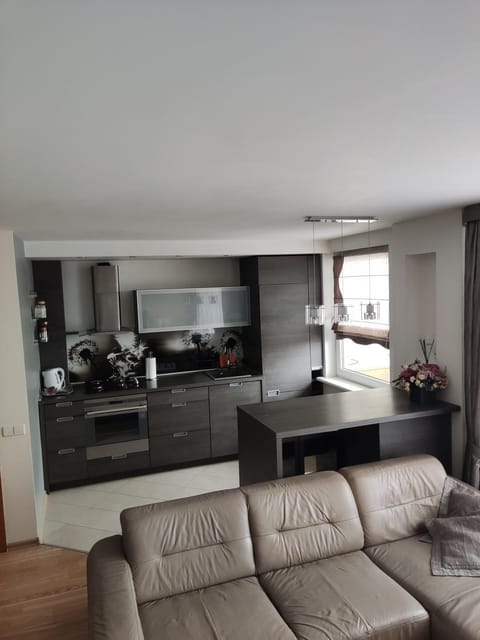 Nikoletos apartamentai Apartment in Lithuania