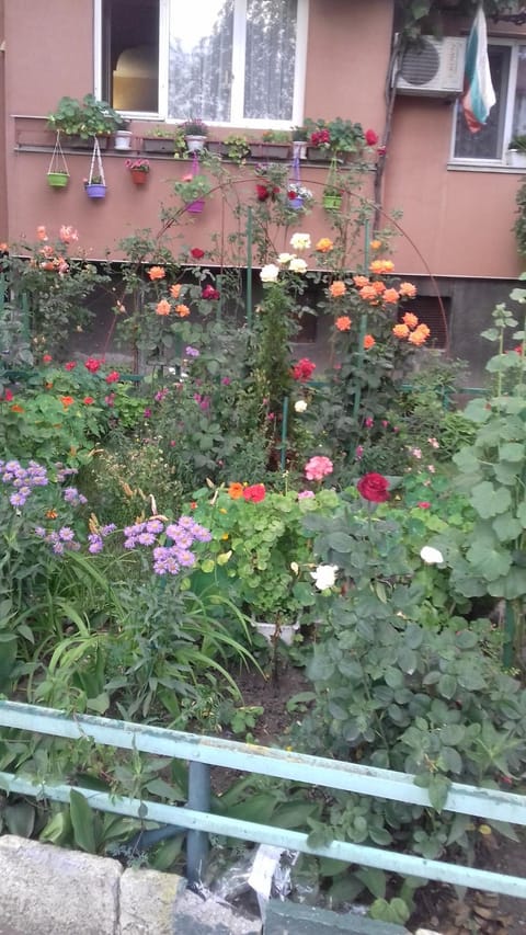 Facade/entrance, Garden view