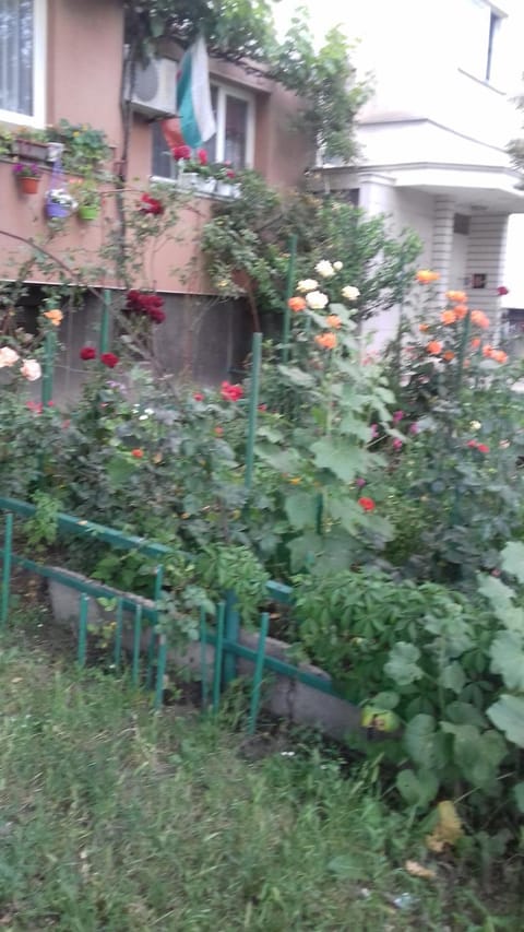 Facade/entrance, Garden