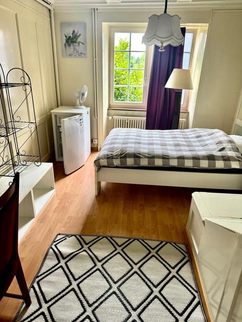 Zurich at the Lake double room in historic house shared Bath Bed and Breakfast in Zurich City