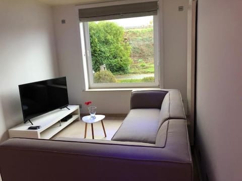 Communal lounge/ TV room, TV and multimedia, Seating area