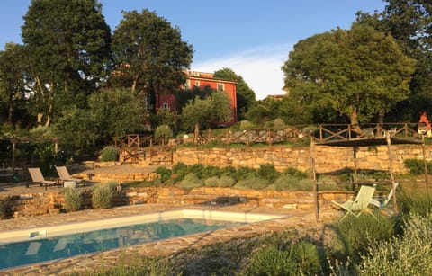 Garden, Pool view, Swimming pool
