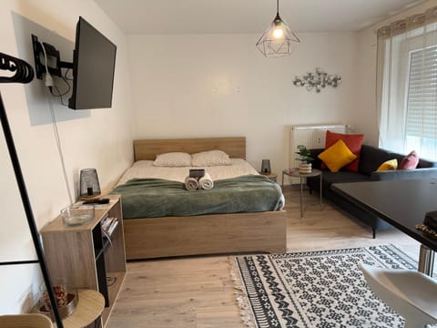 Joli Studio A Euroairport-BASEL-MULHOUSE-FREIBURG Apartment in Saint-Louis