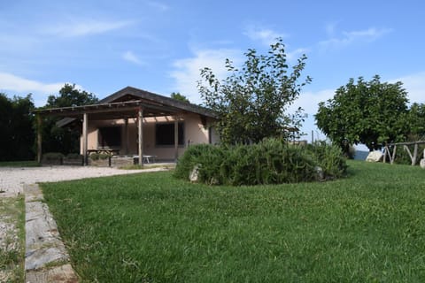 Property building, Garden, Garden view