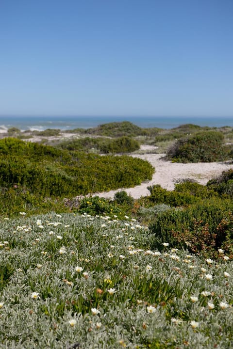 Natural landscape, Beach, Sea view