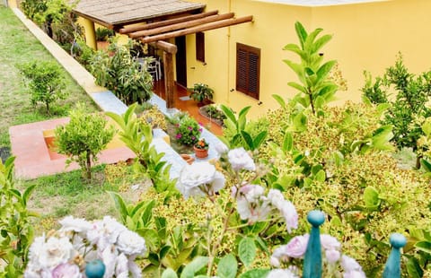 Property building, Patio, Garden, Garden view