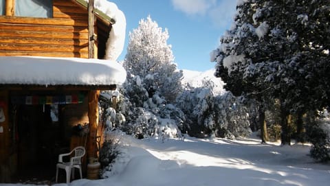 Winter, Garden
