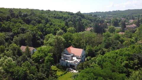 Property building, Day, Natural landscape, Bird's eye view, Summer