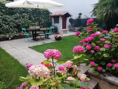 Appartamento Emma e Silvio Apartment in Desenzano del Garda