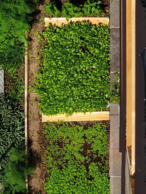 ANESI appartamenti Apartment hotel in Trentino-South Tyrol