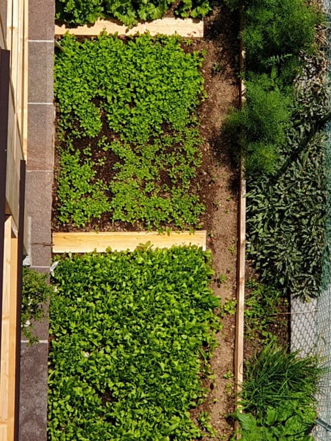 ANESI appartamenti Apartment hotel in Trentino-South Tyrol