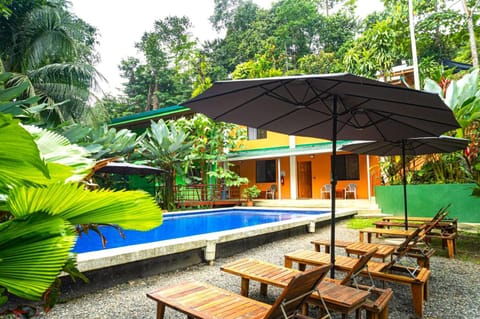 Garden, Garden view, Pool view, Swimming pool, Swimming pool, sunbed