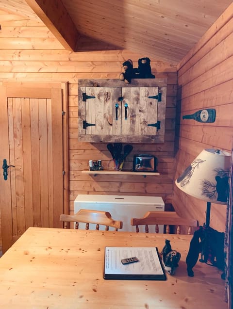 Honeybear Hideaway Cabin Cabin in Hayward