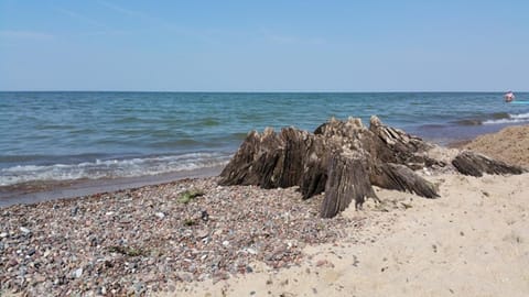 Natural landscape, Beach
