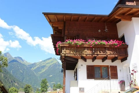 Property building, Summer