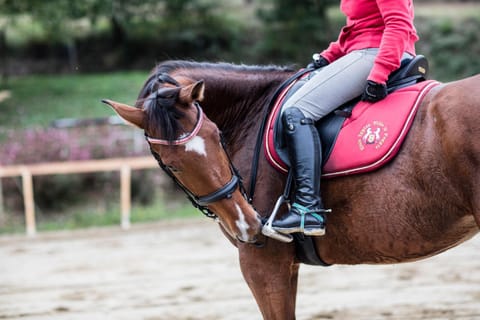Horse-riding