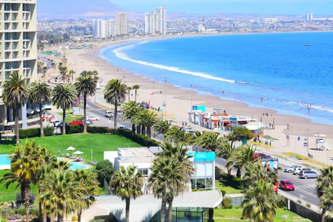 Nearby landmark, Restaurant/places to eat, Natural landscape, Beach, Pets, Area and facilities, Shopping Area, Swimming pool