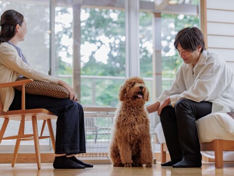Photo of the whole room, pet friendly
