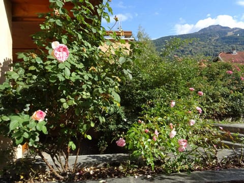 Charmant appart 3 pièces, 6 pers, terrasse à Bourg Saint Maurice - FR-1-411-606 Apartment in La Plagne-Tarentaise