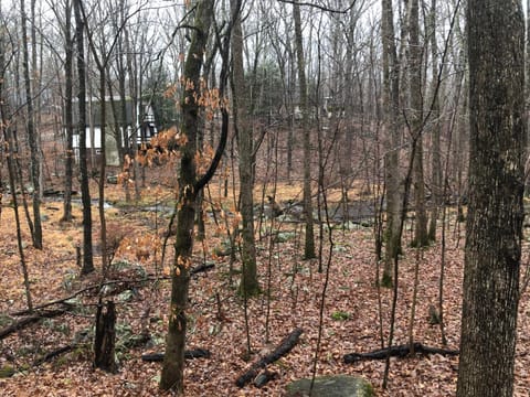 Cozy Cottage at Saw Creek Chalet in Middle Smithfield