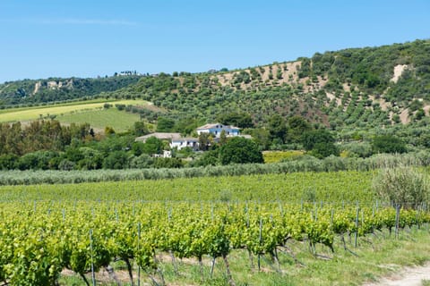 Neighbourhood, Natural landscape, Hiking