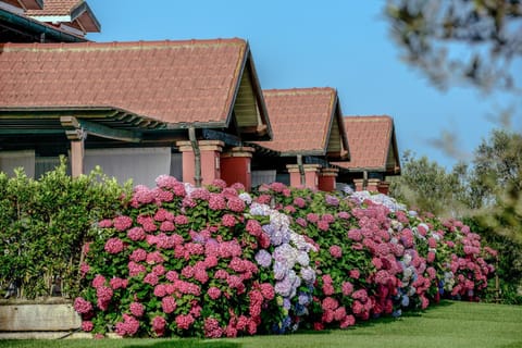 Natural landscape, Garden view