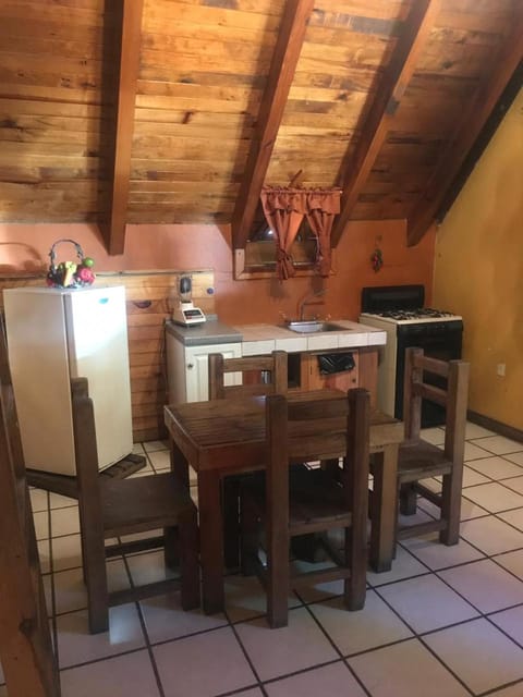 Kitchen or kitchenette, kitchen