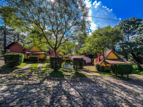 Property building, Bird's eye view, Garden view