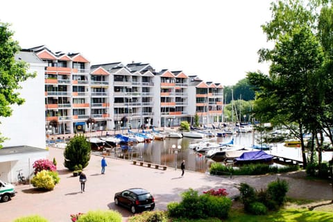 Lake view