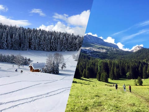 Natural landscape, Winter, Summer, Fishing, Horse-riding, Skiing, Hiking, Cycling, On site, Mountain view