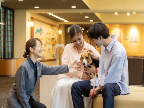Lobby or reception, pet friendly, pet friendly
