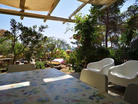 Day, Balcony/Terrace