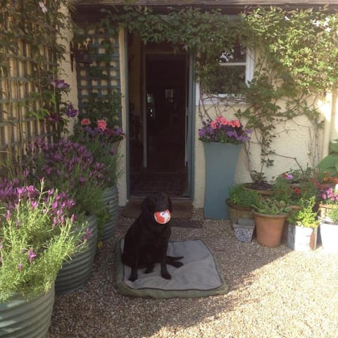 Beautiful Devon Farmhouse Apartment in East Devon District
