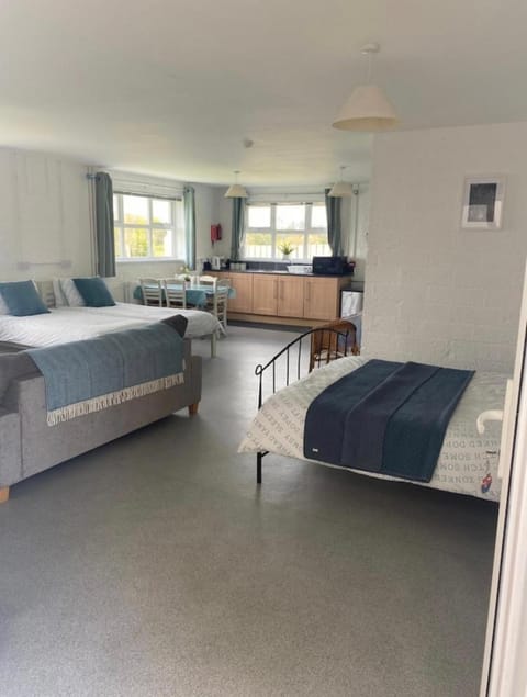 Mill House Studio Apartment Apartment in Northern Ireland