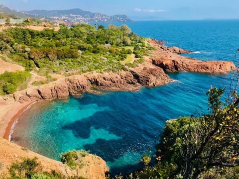 Studio Climatisé pour 3, Face Est, à 50m Plage et Proche Commerces - FR-1-466A-23 Apartment in Saint-Raphael