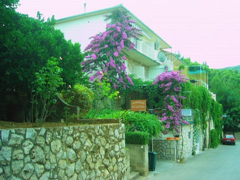 Villa Volga Apartment in Dubrovnik-Neretva County