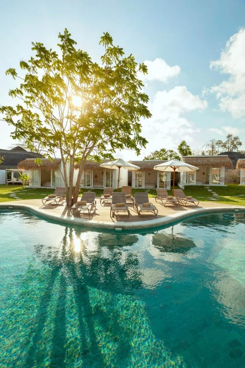 Pool view, Swimming pool, sunbed