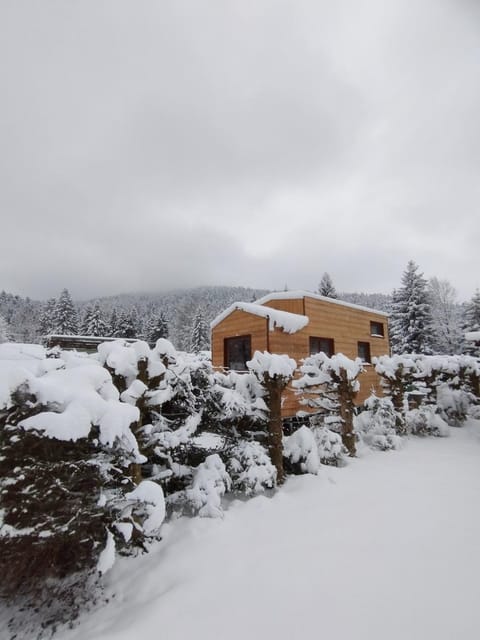 Tiny House - Cottages - Mobilhomes - Camping Les Granges Bas Campground/ 
RV Resort in Gérardmer