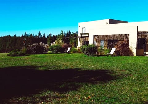 Off site, Natural landscape, On site, Pets