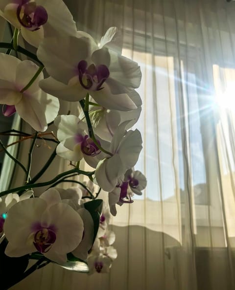 Summer, Decorative detail