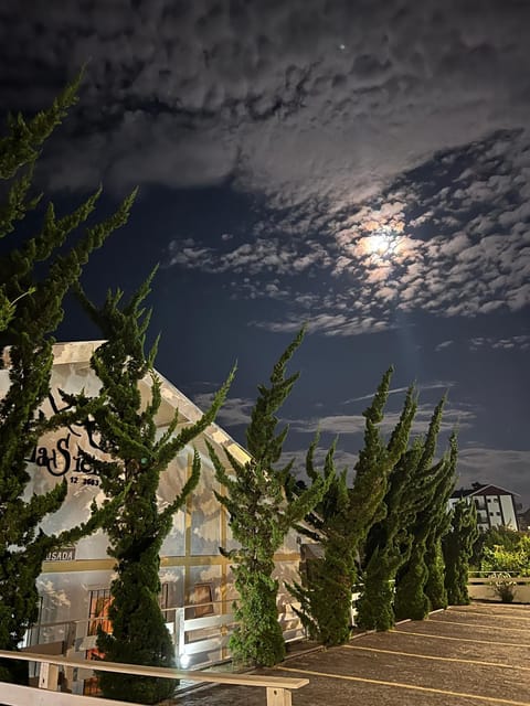 Night, Parking