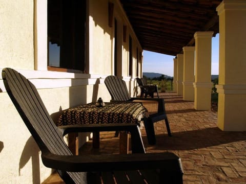 Patio, Day