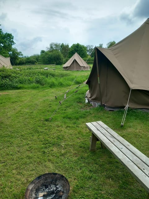 Gaggle of Geese Pub - Shepherd Huts & Bell Tents Country House in North Dorset District