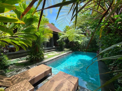 Day, Natural landscape, Garden, Garden view, Pool view, Swimming pool, sunbed