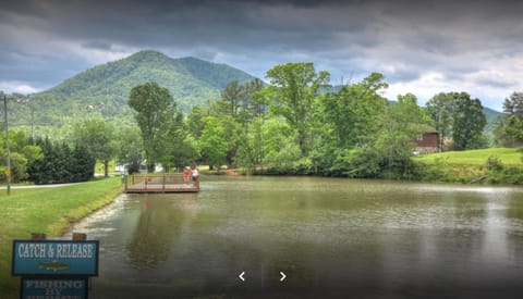 Berg Stuga, Free Attraction Tickets, Game Room, Hot Tub, WIFI!!! Chalet in Sevier County