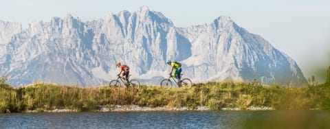Haus Seinader by Alpine Host Helpers House in Salzburgerland